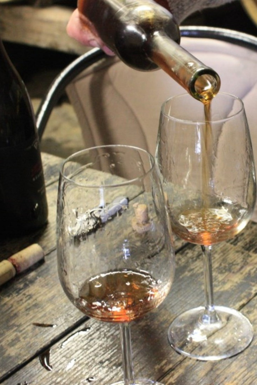 From Pula or Rovinj: Istrian Wine Express Tour - Good To Know