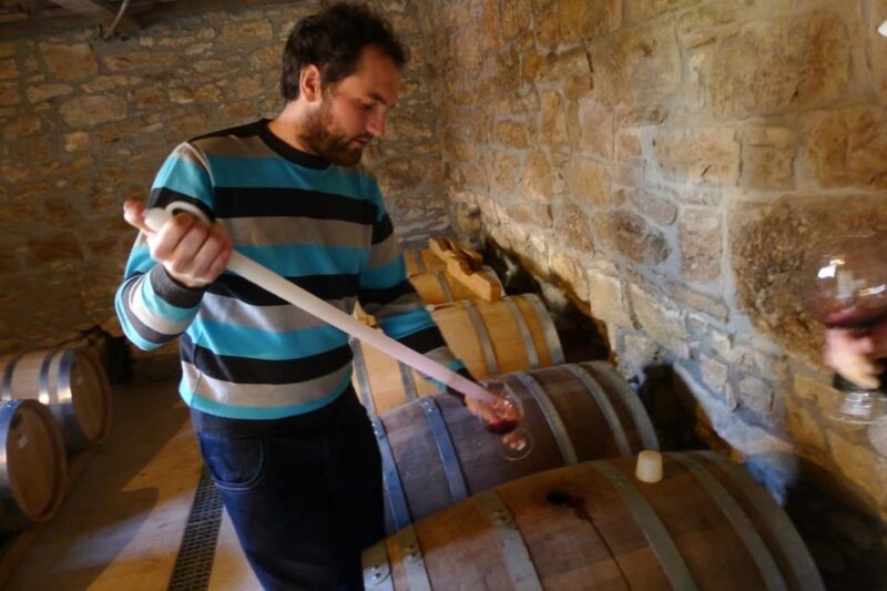 From Pula or Rovinj: Istrian Wine Express Tour - Wine Tasting Experience