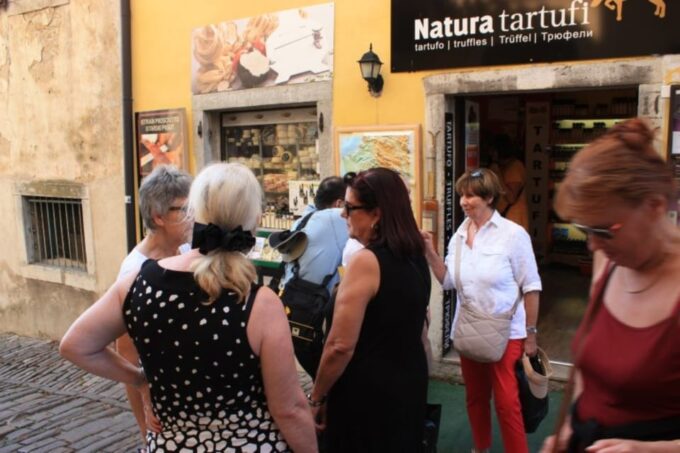 From Pula or Rovinj: Istrian Wine Express Tour - Group Size and Age Requirement