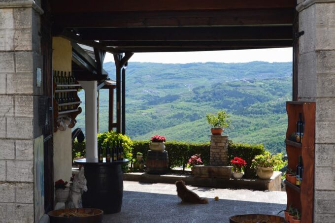 From Pula or Rovinj: Istrian Wine Express Tour - Customer Feedback