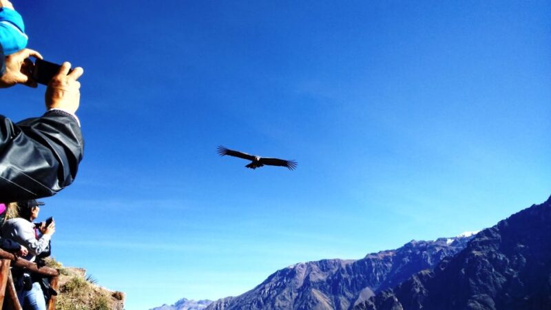 From Puno: 2-Day Colca Canyon Tour to Arequipa - Important Information