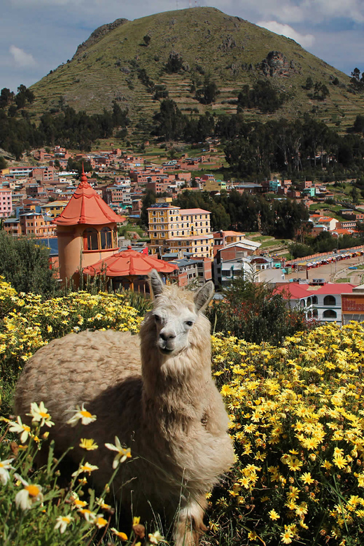 From Puno |3day Excursion to La Paz and the Uyuni Salt Flats - Itinerary on Day 3