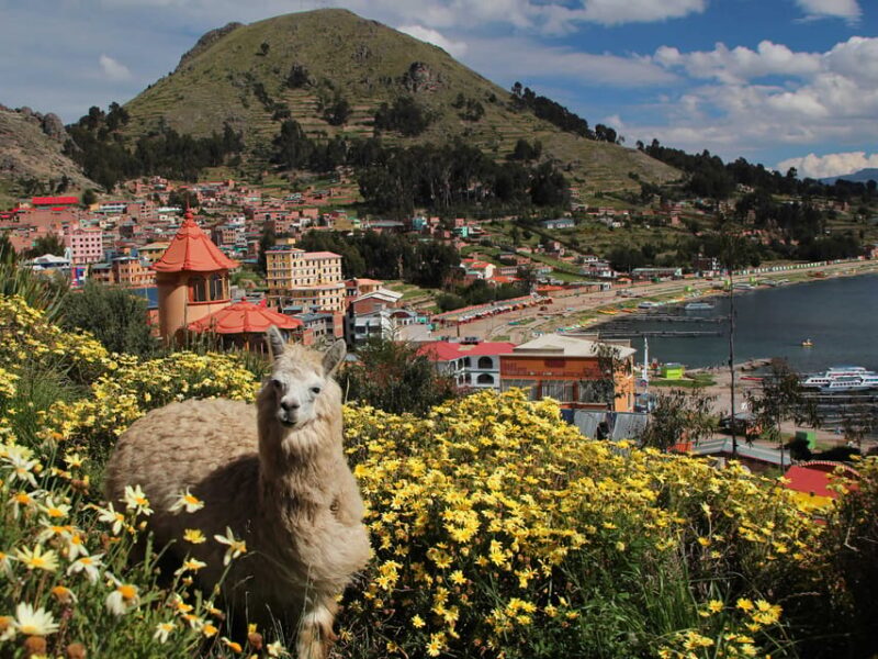 From Puno |3day Excursion to La Paz and the Uyuni Salt Flats - Transportation and Logistics