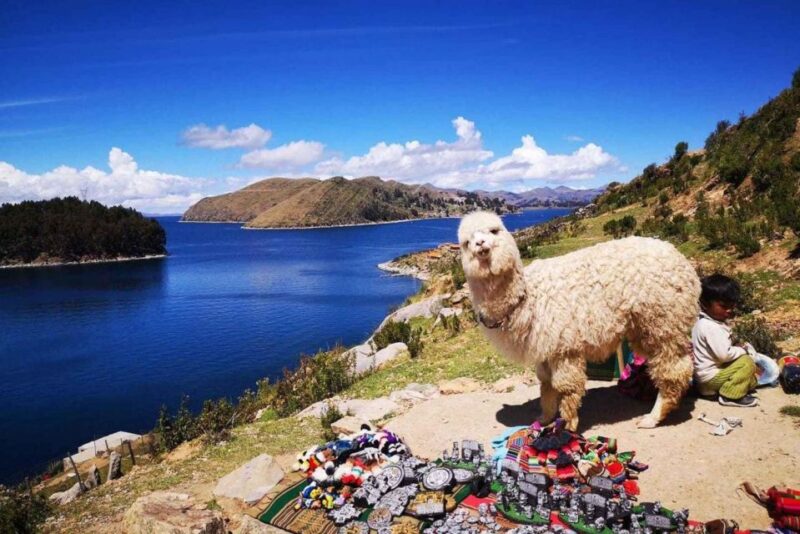 From Puno || Excursion to Copacabana and Sun Island || - Tour Highlights