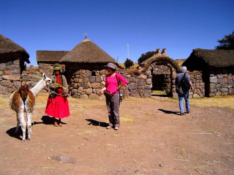 From Puno: Sillustani Tombs and Tourist View Point Puma - Key Points