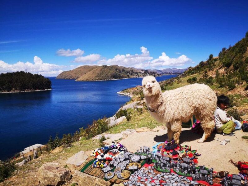 From Puno: Sun Island and Copacabana 1-Day Tour - Key Points