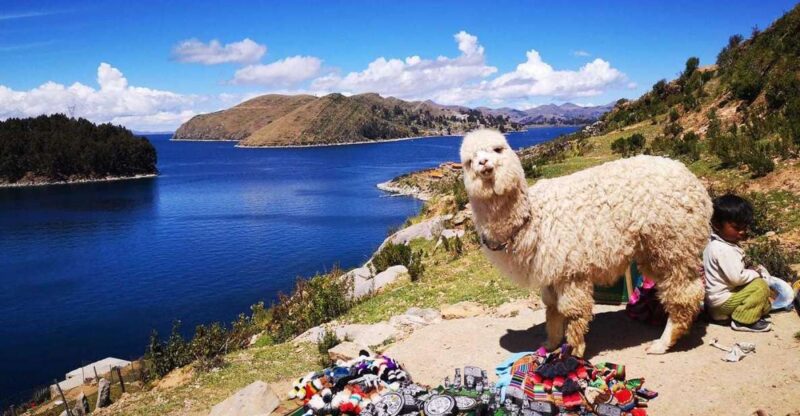 From Puno: Sun Island and Copacabana 1-Day Tour - Itinerary Highlights