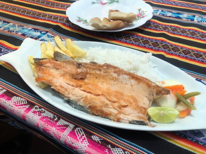 From Puno: Uros Islands and Taquile by Fast Boat With Lunch - Important Information