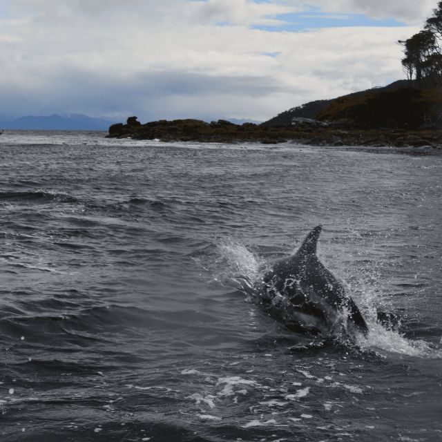 From Punta Arenas: Cabo Froward Navigation + Trekking - Transportation and Accessibility
