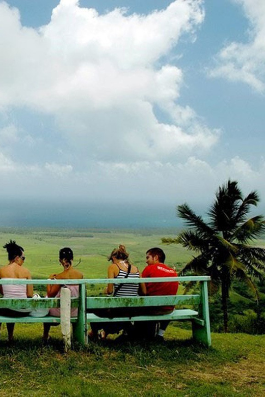 From Punta Cana: 4 Hours Redonda Mountain Zip Line Adventure - Booking Information