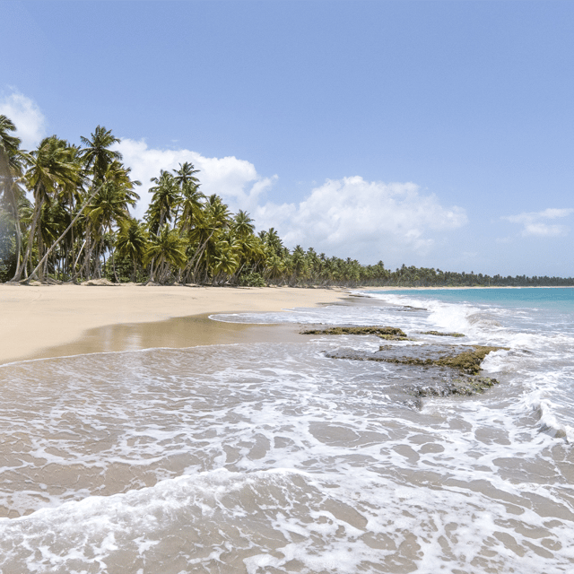 From Punta Cana: 4 Hours Redonda Mountain Zip Line Adventure - Tour Duration and Pricing