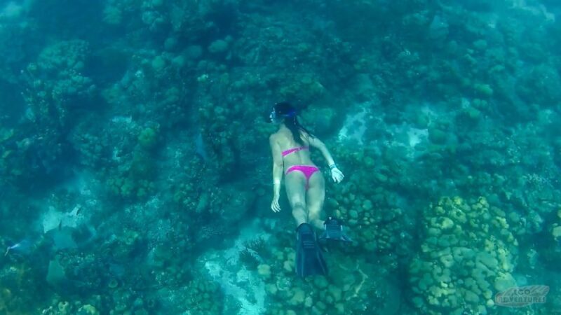 From Punta Cana: Catalina Snorkeling & Altos De Chavon Tour - Itinerary Highlights
