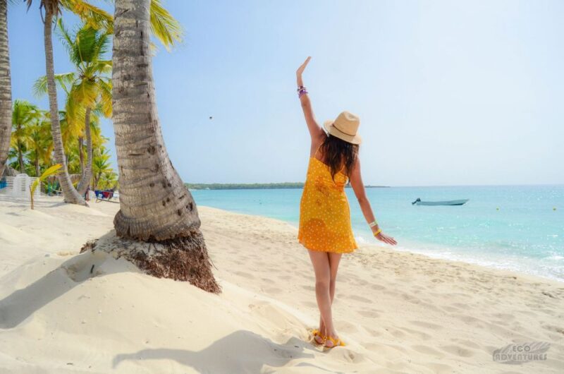 From Punta Cana: Catalina Snorkeling & Altos De Chavon Tour - Inclusions