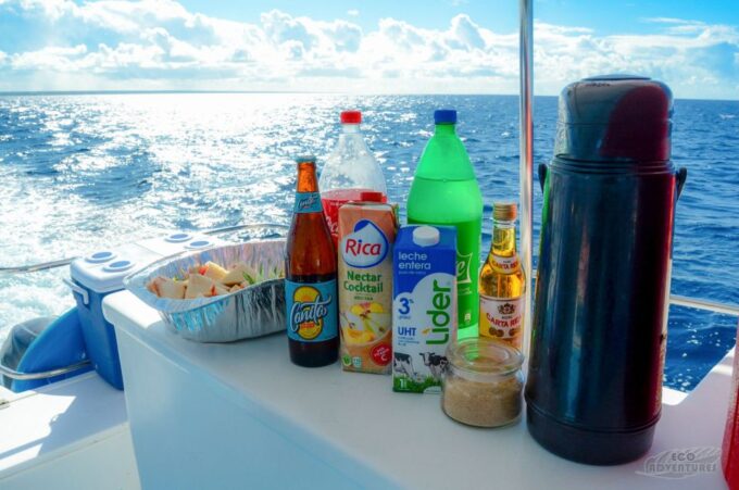 From Punta Cana: Catalina Snorkeling & Altos De Chavon Tour - Pricing and Duration