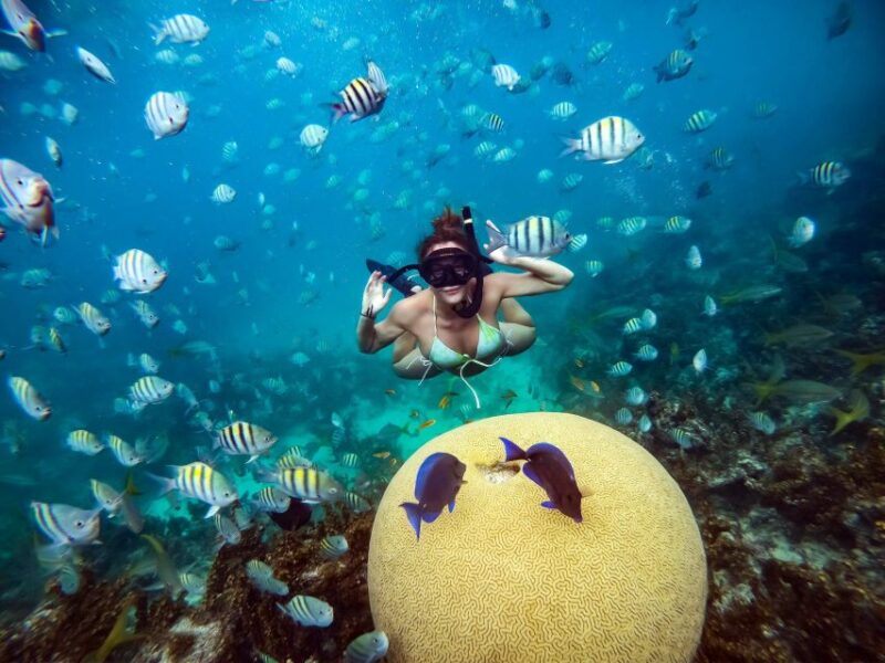 From Punta Cana: Catamaran Cruise With Lunch - Coral Reef Snorkeling