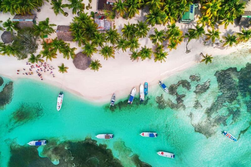 From Punta Cana: Catamaran Tour to Saona Island with Open Bar and Buffet - Key Points