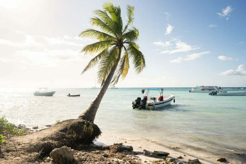 From Punta Cana: Catamaran Tour to Saona Island with Open Bar and Buffet - What You Can Expect From the Tour