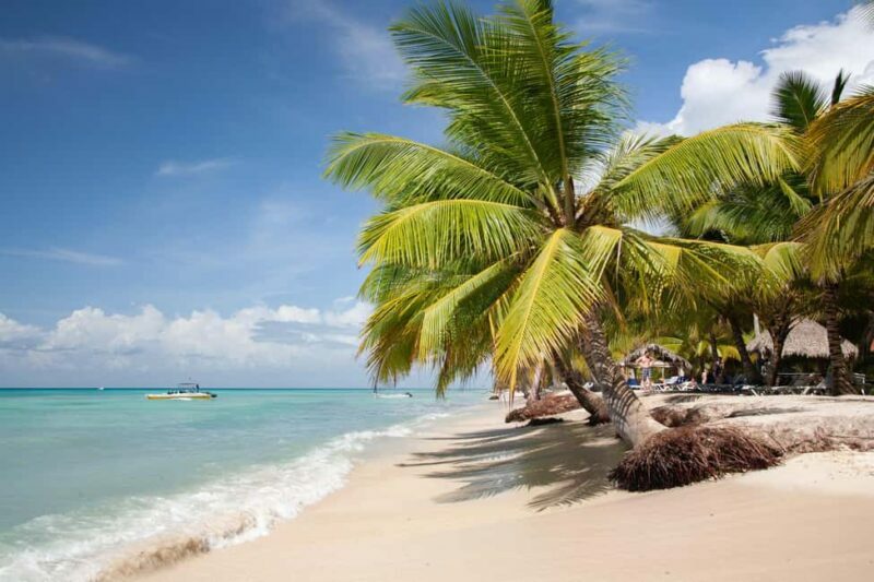 From Punta Cana: Catamaran Tour to Saona Island with Open Bar and Buffet - What Travelers Say