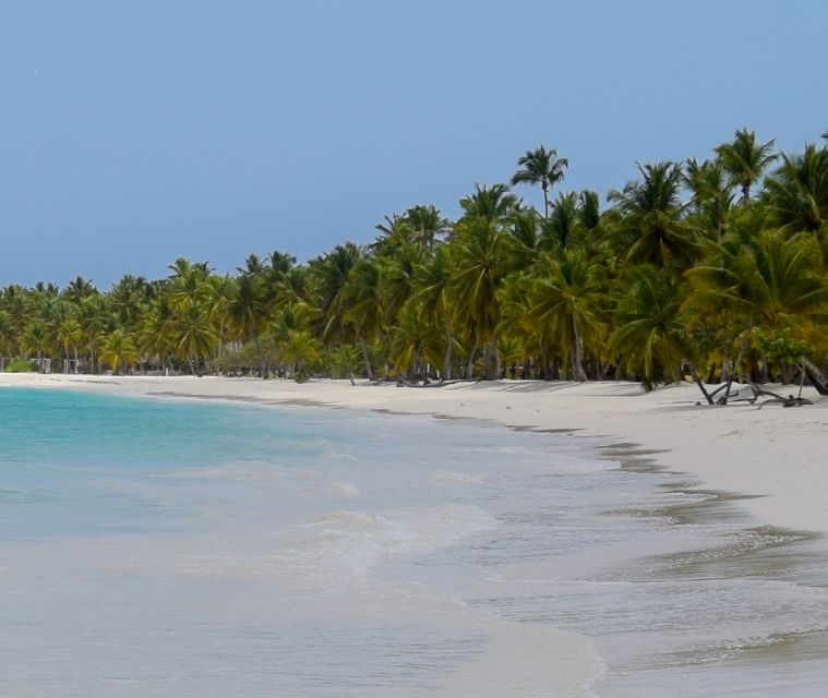 From Punta Cana: Day Tour to Saona Island With Buffet Lunch - Itinerary Details