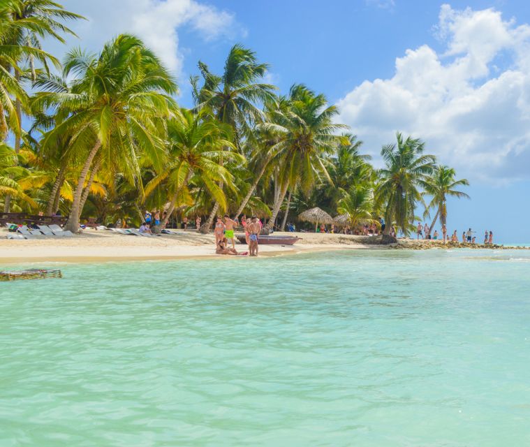 From Punta Cana: Day Tour to Saona Island With Buffet Lunch - Inclusions