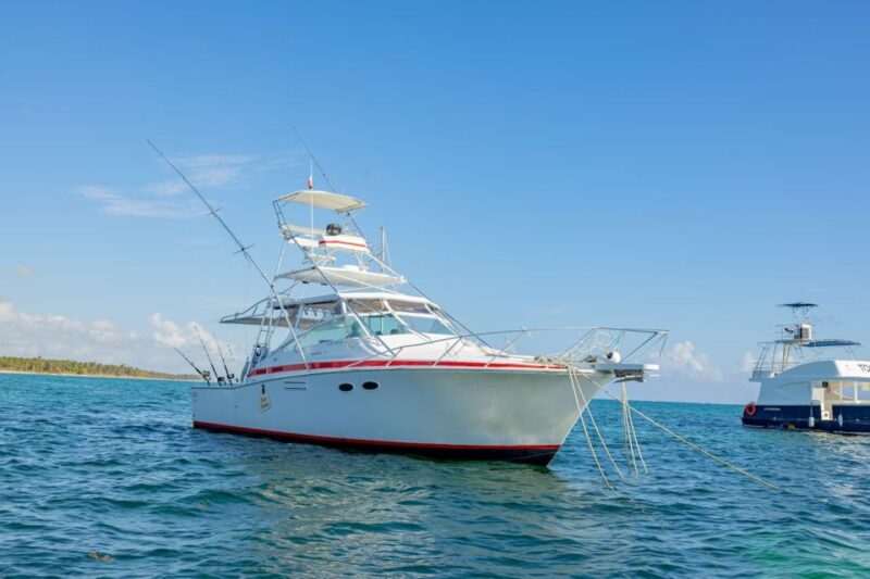 From Punta Cana: Deep Sea Fishing Tour by Boat With Drinks - Inclusions and Exclusions