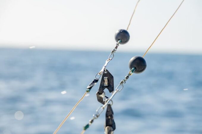 From Punta Cana: Deep Sea Fishing Tour by Boat With Drinks - Frequently Asked Questions