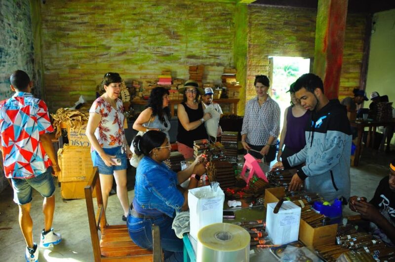 From Punta Cana: Dominican Culture Expedition - Itinerary Highlights