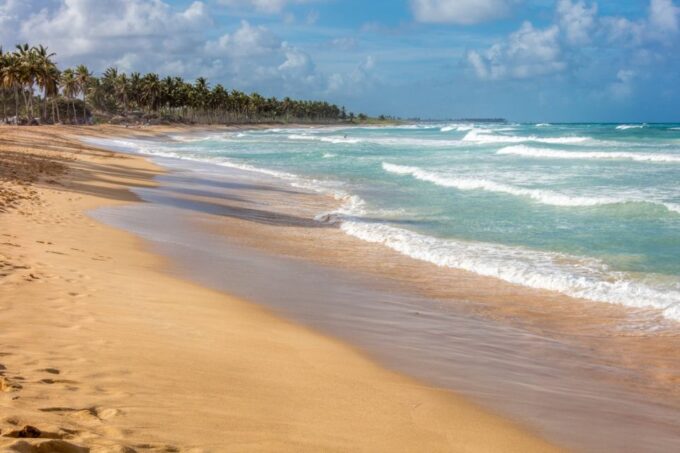 From Punta Cana: Full-Day Island Tour With Lunch - Authentic Dominican Lunch