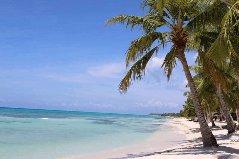 From Punta Cana: Isla Saona Boat Trip With Lunch & Open Bar - Inclusions and Exclusions