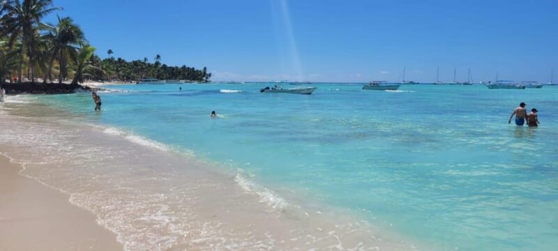 From Punta Cana Isla Saona Day Trip With Starfish Pool Lunch - Key Points