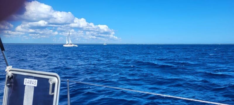 From Punta Cana Isla Saona Day Trip With Starfish Pool Lunch - Transportation and Travel Details
