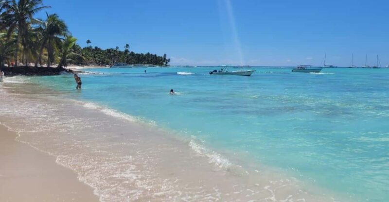From Punta Cana Isla Saona Day Trip With Starfish Pool Lunch - Island Exploration Activities
