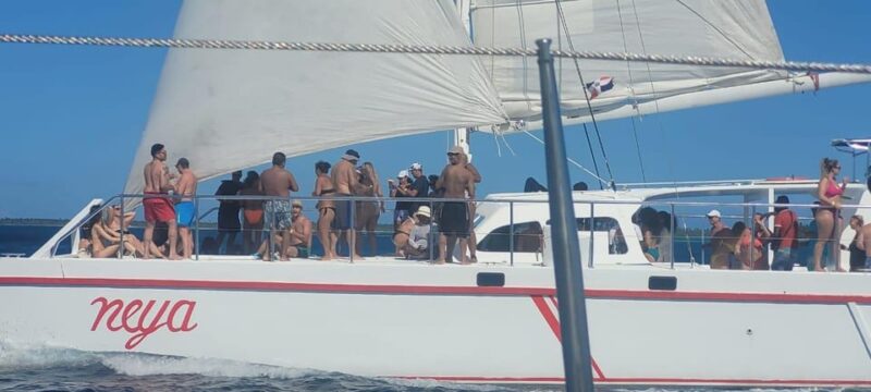 From Punta Cana Isla Saona Day Trip With Starfish Pool Lunch - Included Meals and Drinks