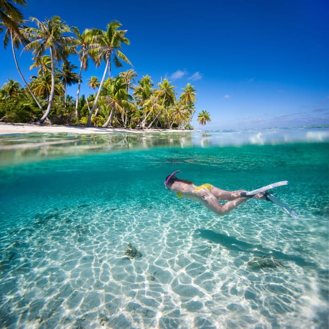 From Punta Cana: Isla Saona Full-Day Tour With Buffet Lunch - Itinerary and Activities