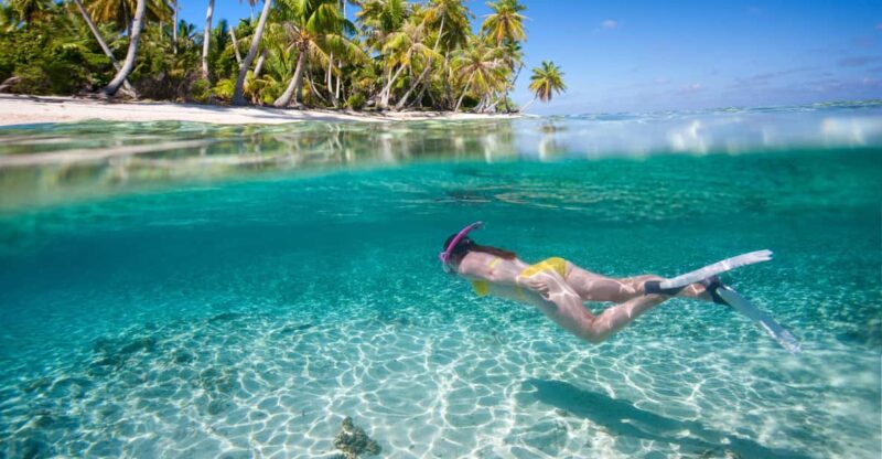 From Punta Cana: Isla Saona Full-Day Tour With Buffet Lunch - Cancellation and Weather Policy