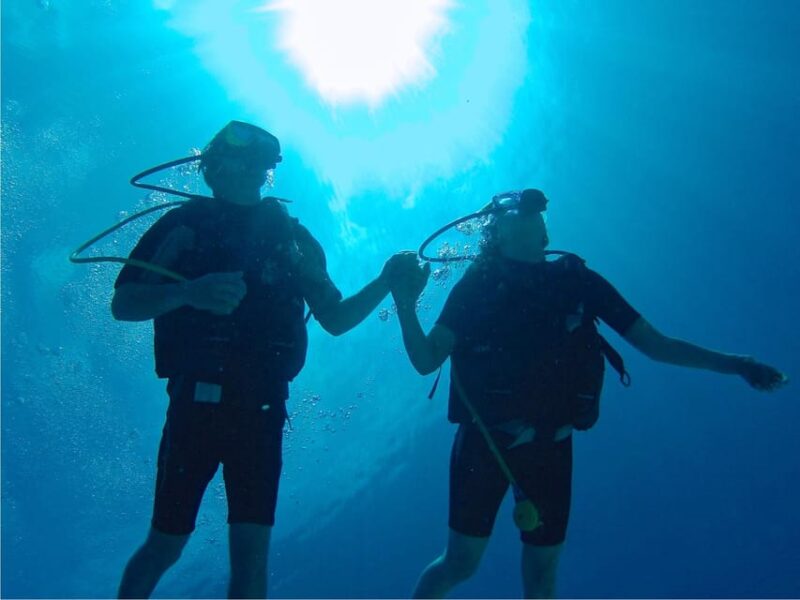 From Punta Cana: Private Catamaran Catalina Island Full-Day - Activity Inclusions