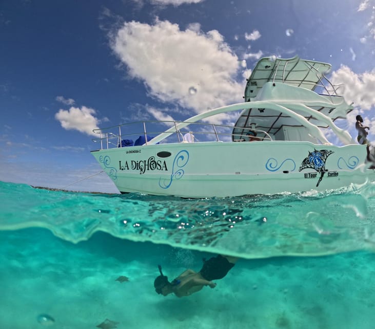 From Punta Cana: Private Starfish Cay Half-Day Experience - Inclusions and Amenities