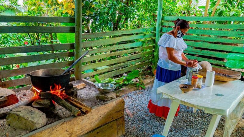 From Punta Cana: Safari Traditional Tour With Lunch - Tour Languages and Duration