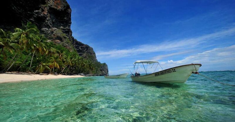 From Punta Cana: Samana Bay Private Whale Watching Boat - Included in the Tour