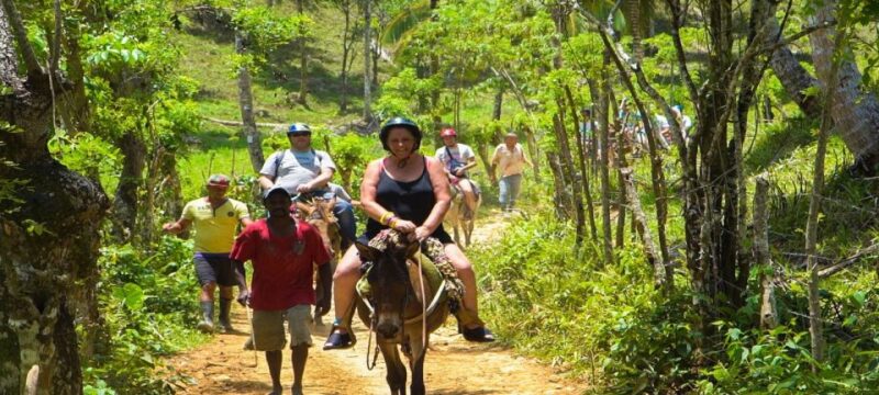 From Punta Cana: Samana Full Day Trip by Bus and Boat - Included Features