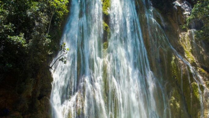 From Punta Cana: Samana Full Day Trip by Bus and Boat - Transportation Options