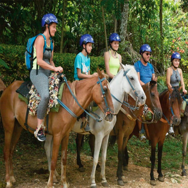 From Punta Cana: Samaná Tropical Adventure Between Waterfalls, Beaches - Transportation Details