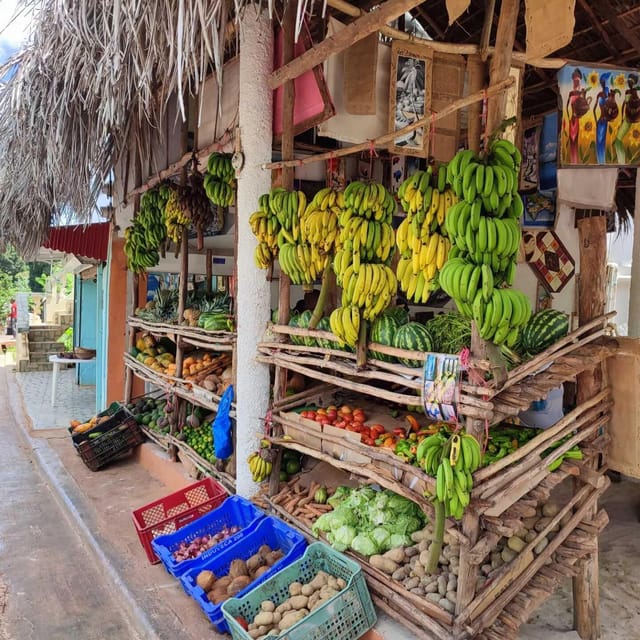 From Punta Cana: Samaná Tropical Adventure Between Waterfalls, Beaches - Important Information