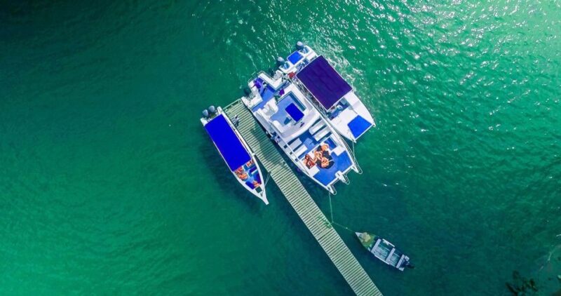 From Punta Cana: Sanctuary Whale Watching Day Trip - Inclusions and Transportation