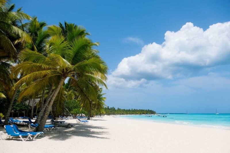 From Punta Cana: Saona Island Catamaran Tour W/ Buffet Lunch - Customer Reviews