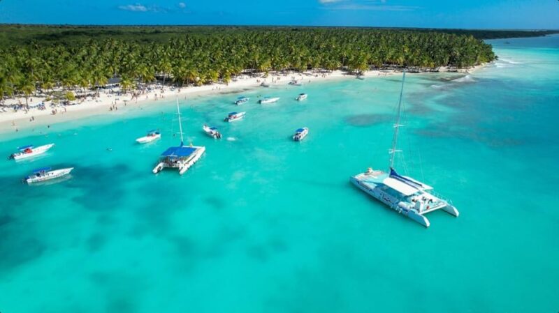 From Punta Cana: Saona Island Day Trip With Buffet Lunch - Key Points