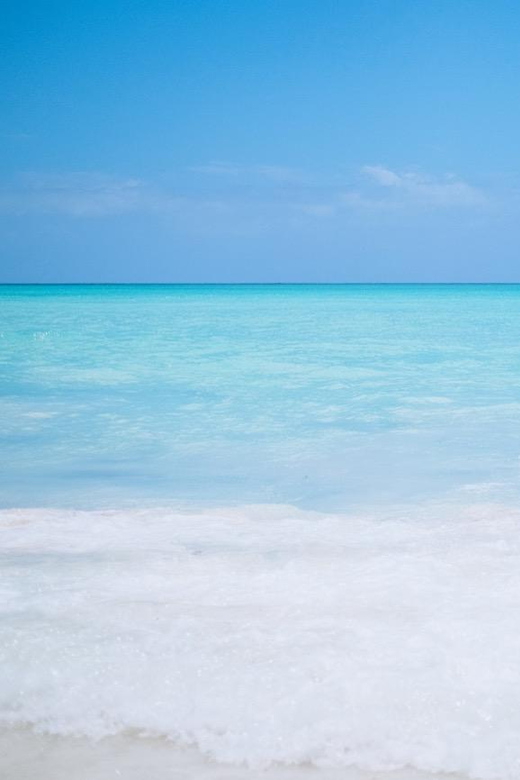 From Punta Cana: Saona Island Day Trip With Buffet Lunch - Transportation and Itinerary