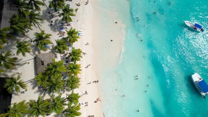 From Punta Cana: Saona Island Day Trip With Buffet Lunch - Customer Feedback and Ratings