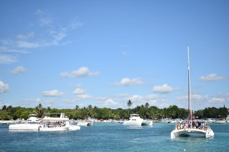 From Punta Cana: Saona Island Full Day Trip With Lunch - Key Points