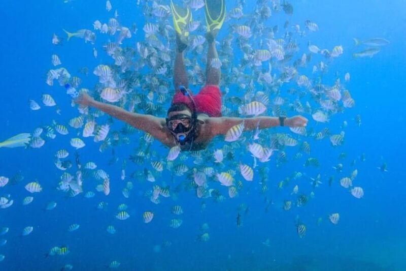From Punta Cana: Saona Island Private Catamaran Day Trip - Key Points